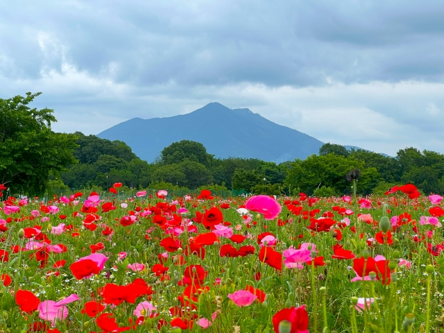 【茨城県】解体工事の費用相場は？安くて信頼できる業者を見つける3つの秘訣